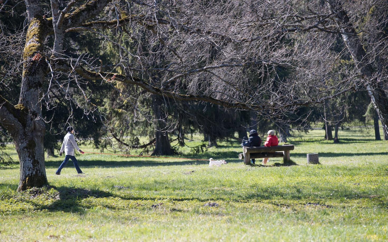 Park.