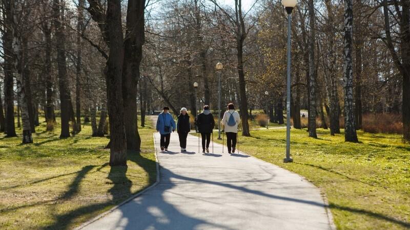В настоящее время территория бывшего кладбища является парком.