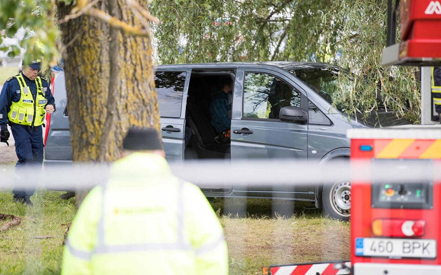 Politsei ajas puukaitsjad Haabersti hõberemmelga juurest ära