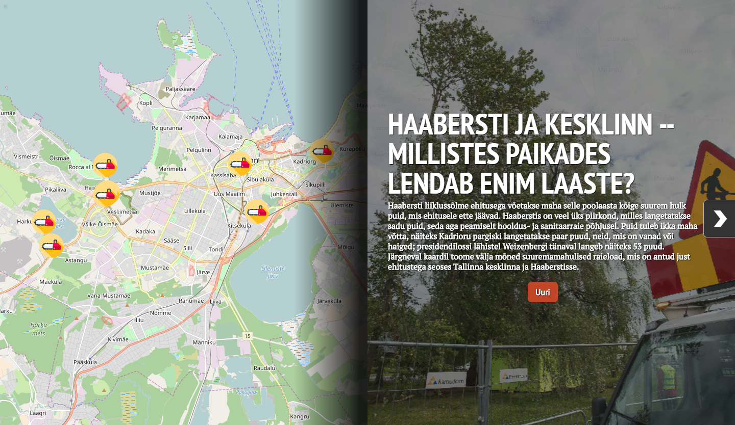 Raielube antakse kõige enam haigete puude langetamiseks või haljasala korrastuseks. Raieloa andmisel saavad kaasa rääkida ka kodanikud: suure avaliku huvi korral on võimalik, et linna luba ei anna.