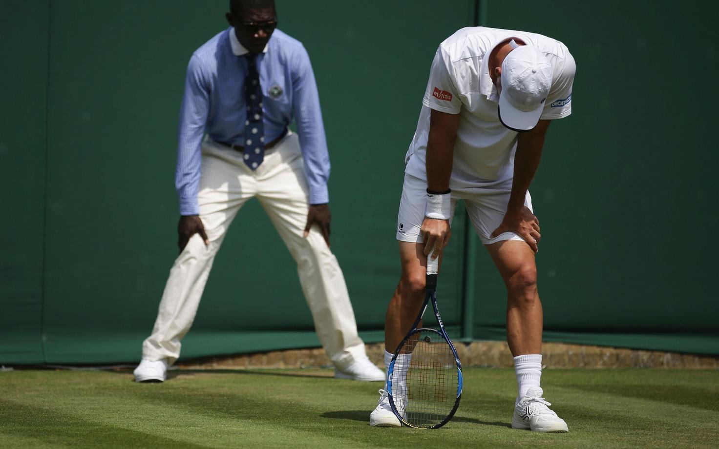Steve Darcis