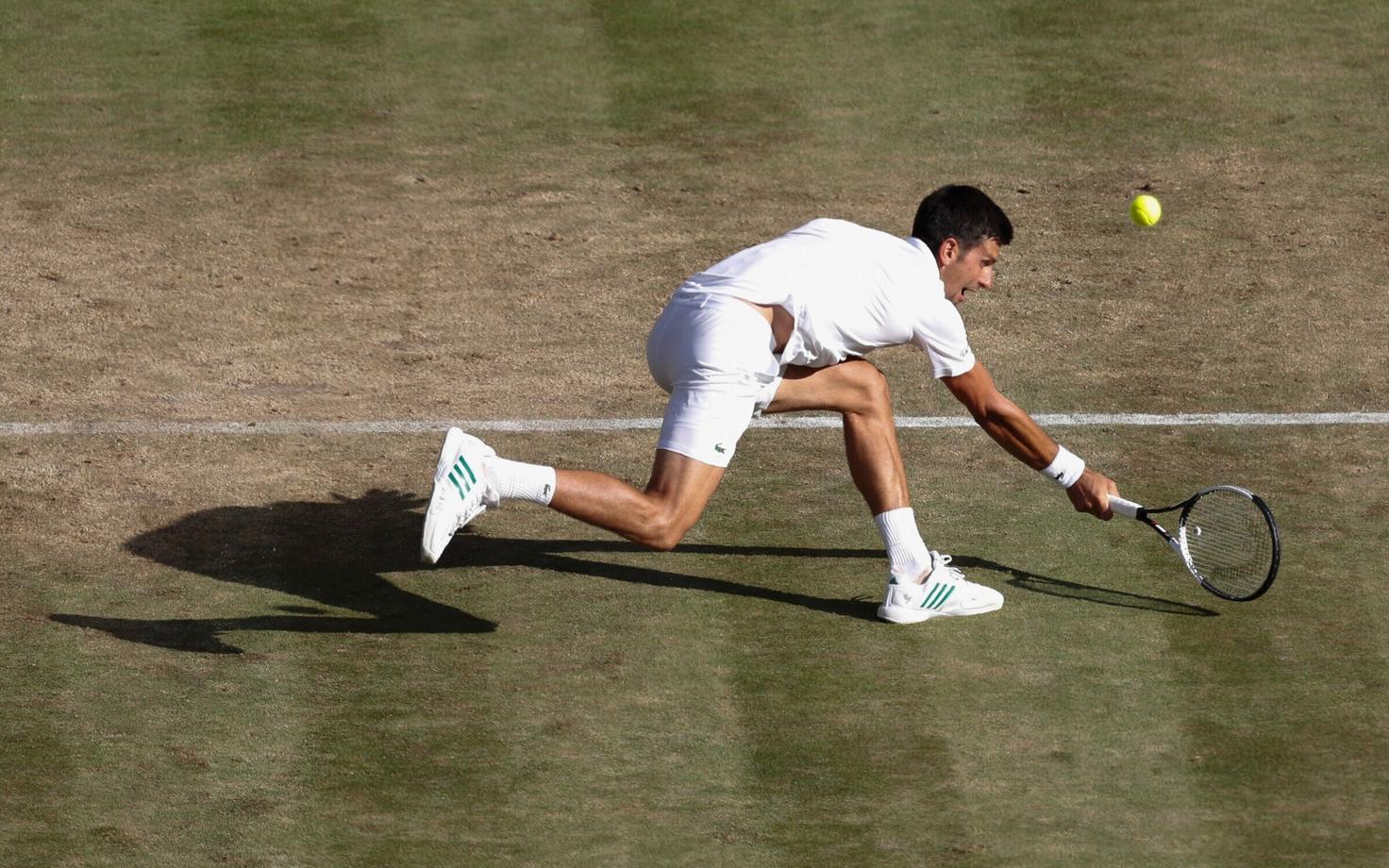Novak Djokovic