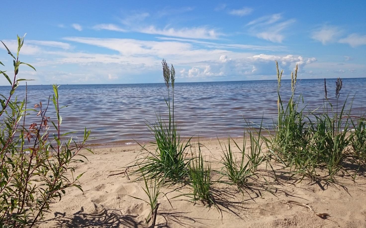 Иллюстративная фотография