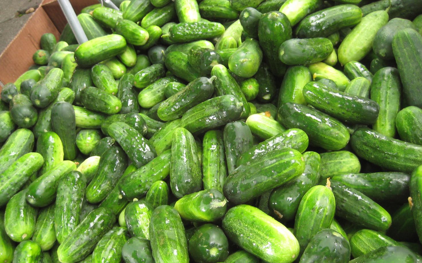 Огурцы.