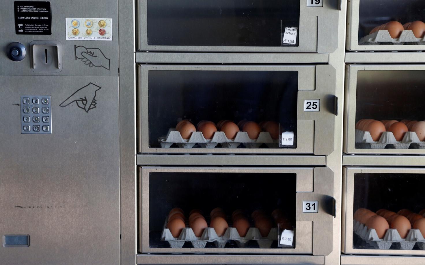 Munad müügiautomaadis Hollandis Luntereni linnufarmis.