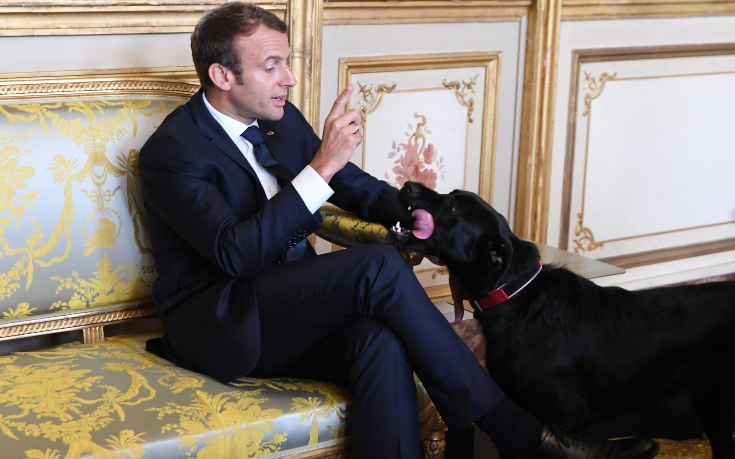 President Emmanuel Macron ja üleannetu Nemo.