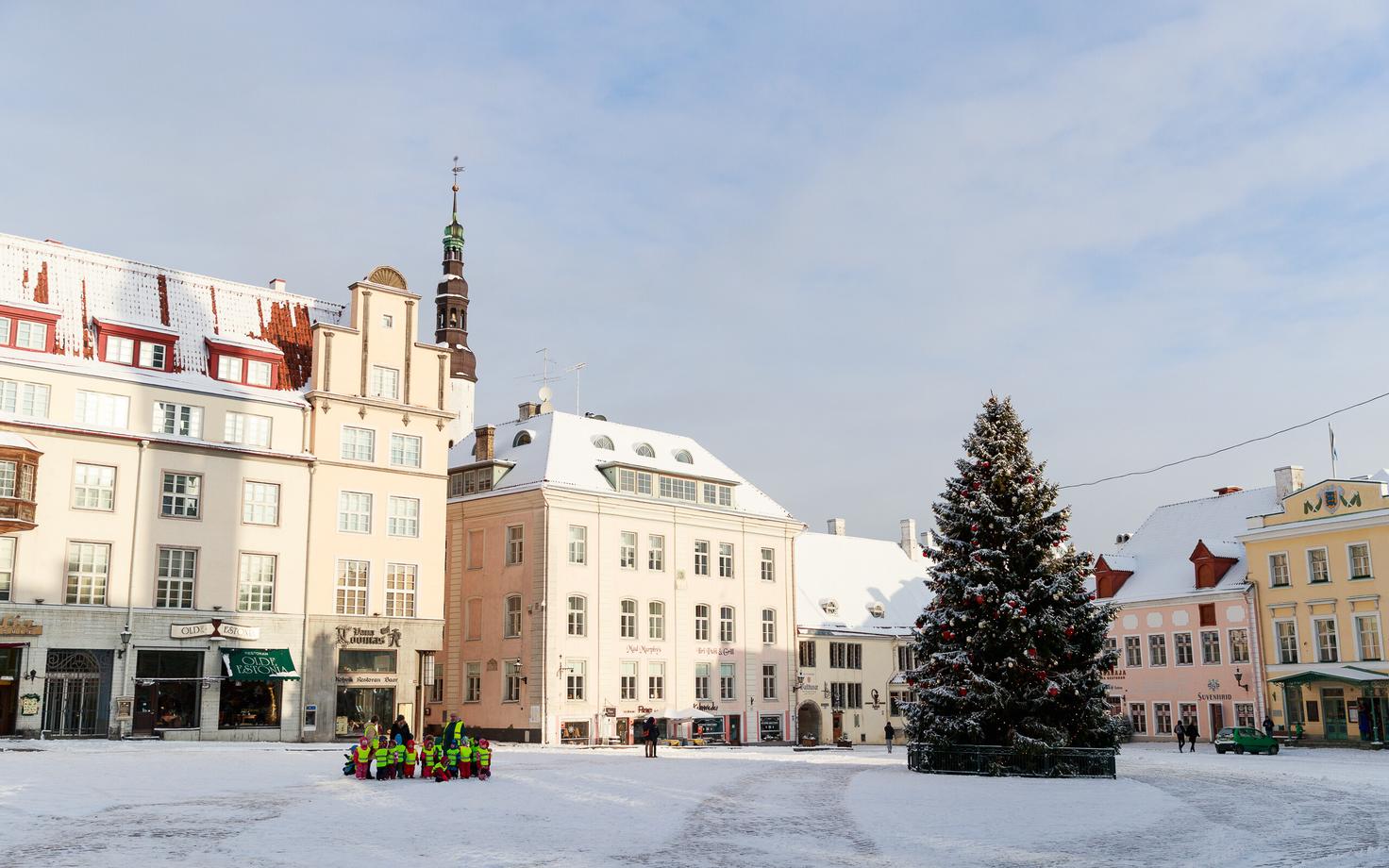 Raekoja platsi jõulukuusk 2019. aastal.
