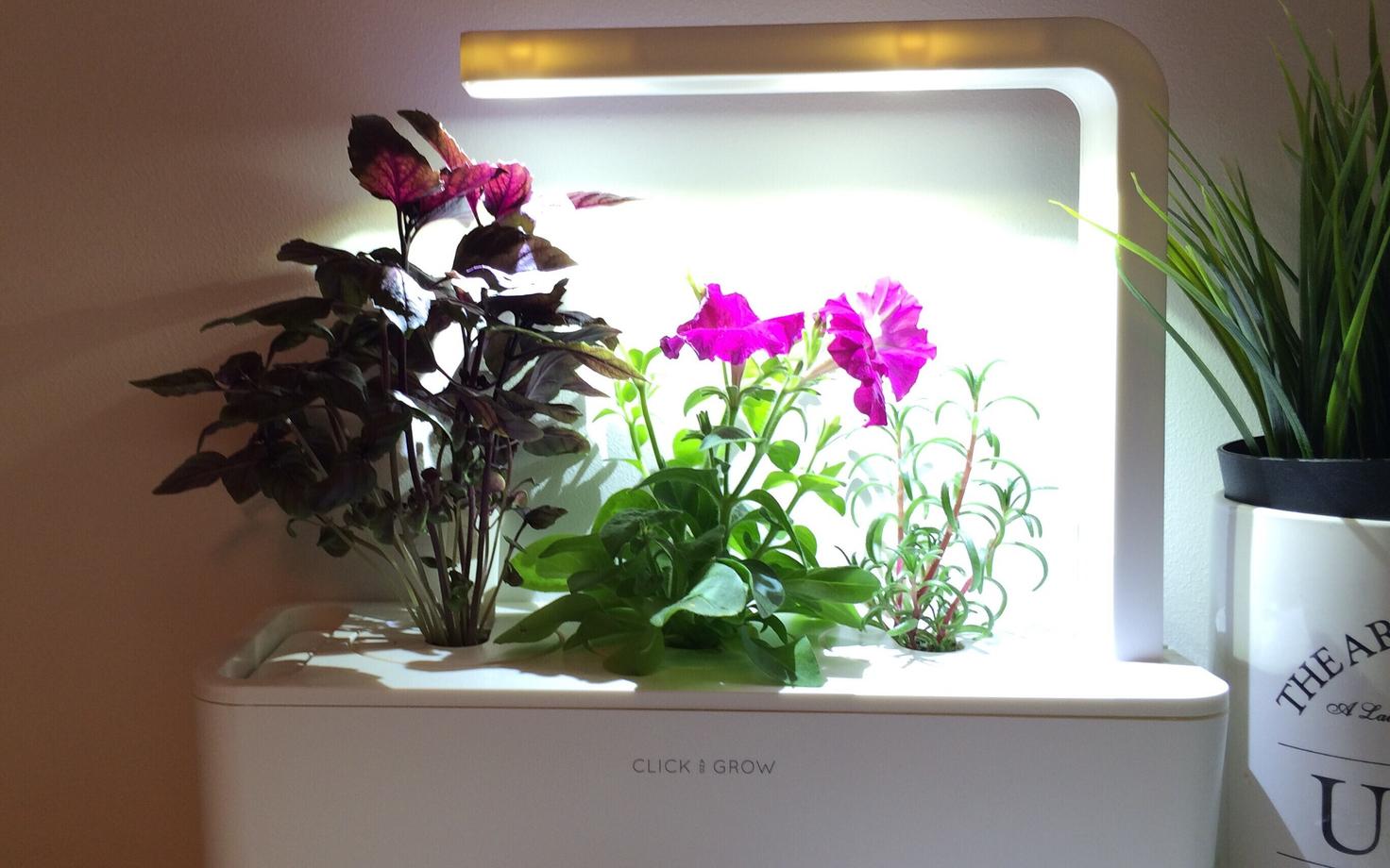 Click & Grow