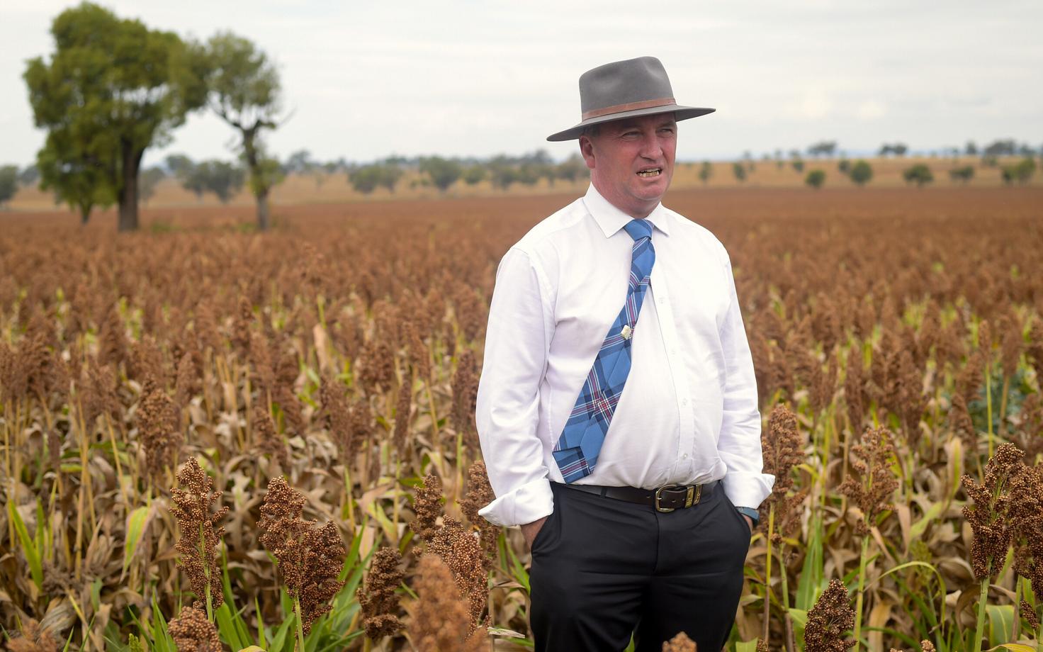 Austraalia poliitik Barnaby Joyce.