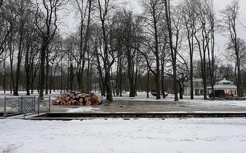 Raietööd Kadrioru pargis.