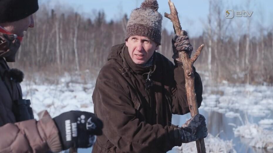 Ingmar Muusikus