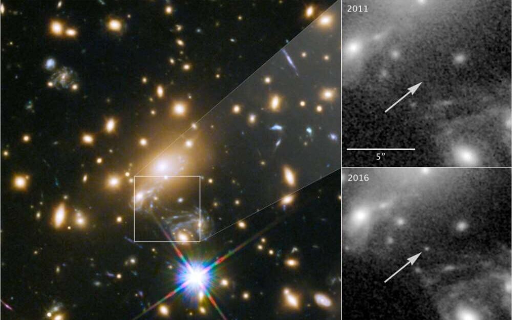 MACS J1149+2223 Lensed Star 1.
