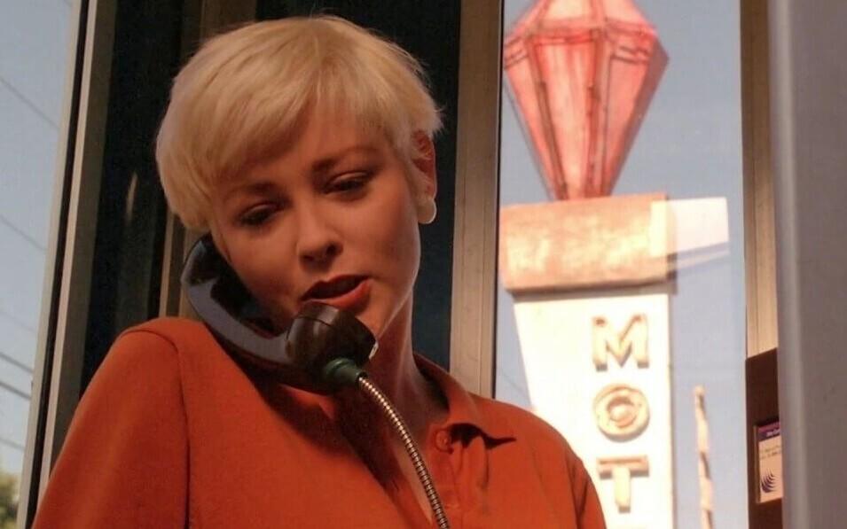 Pamela Gidley