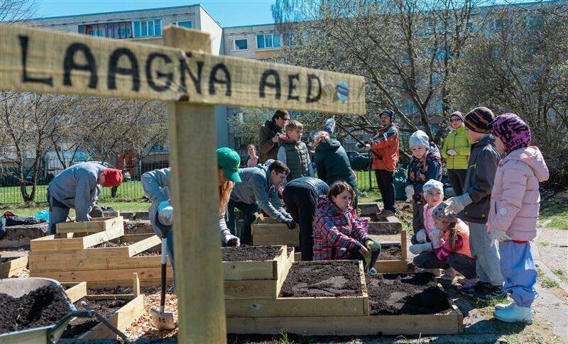 Laagna aed on MTÜ Lasnaidee algatus, et luua kõigile avatud tegutsemis- ja suhtlemiskoht, kus kasvatada keskkonnateadlikkust ja arendada heanaaberlikke suhteid.