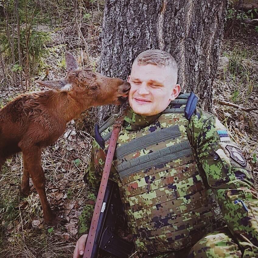 Põdravasikas ja õppusel SIIL osaleja