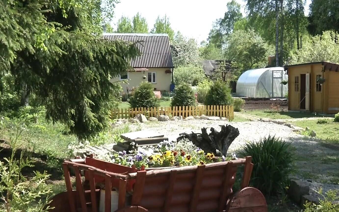 Нарвские дачи