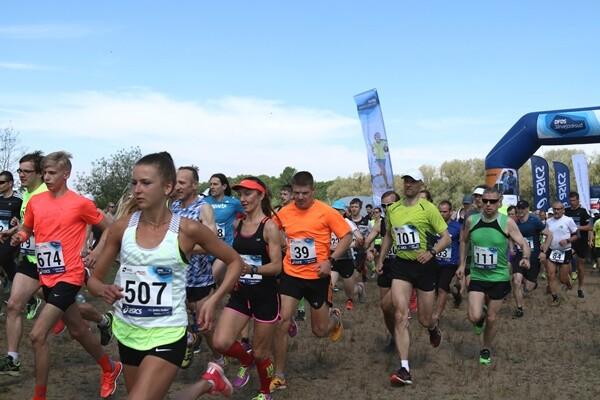 Harku järve jooksu start