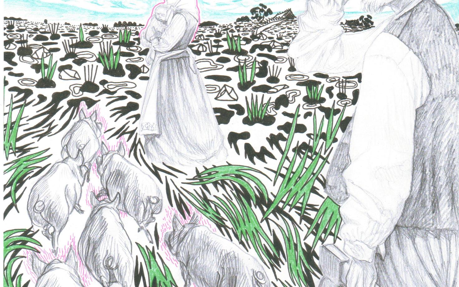 Illustratsiooni