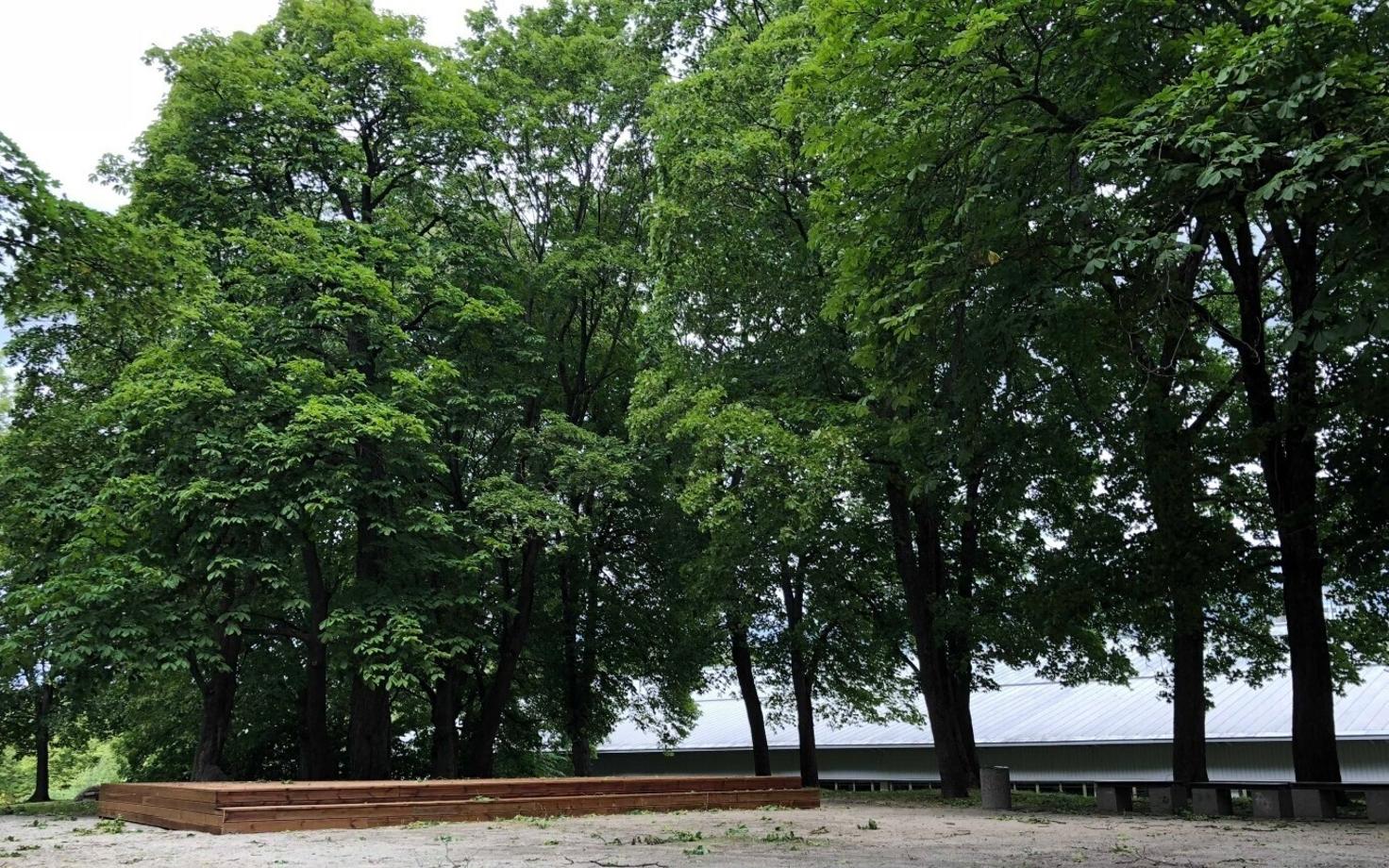 Сцена парка Пооламяги.