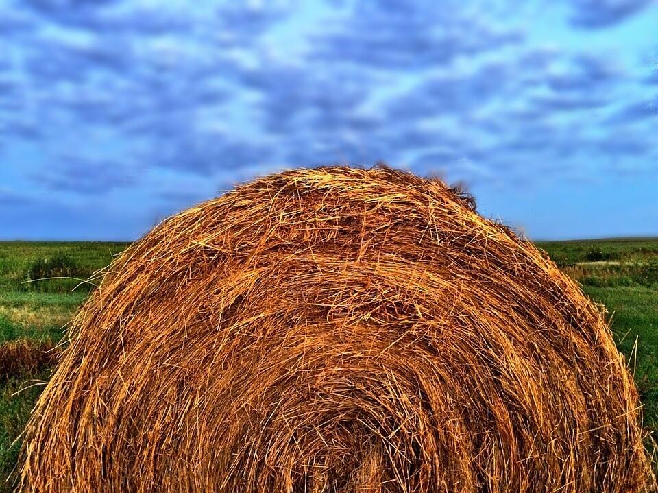 Иллюстративная фотография