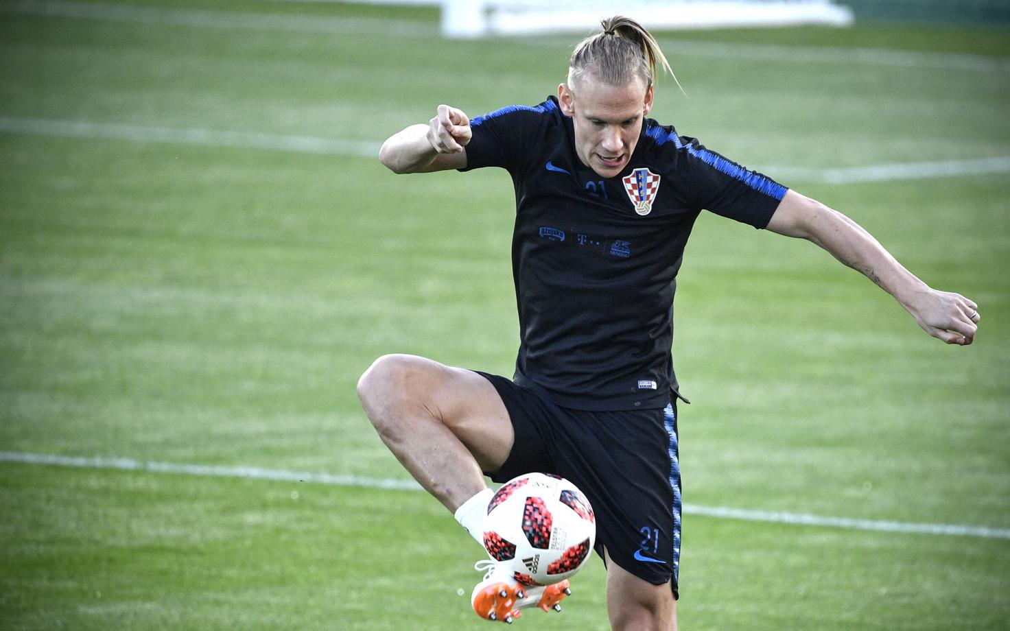 Domagoj Vida
