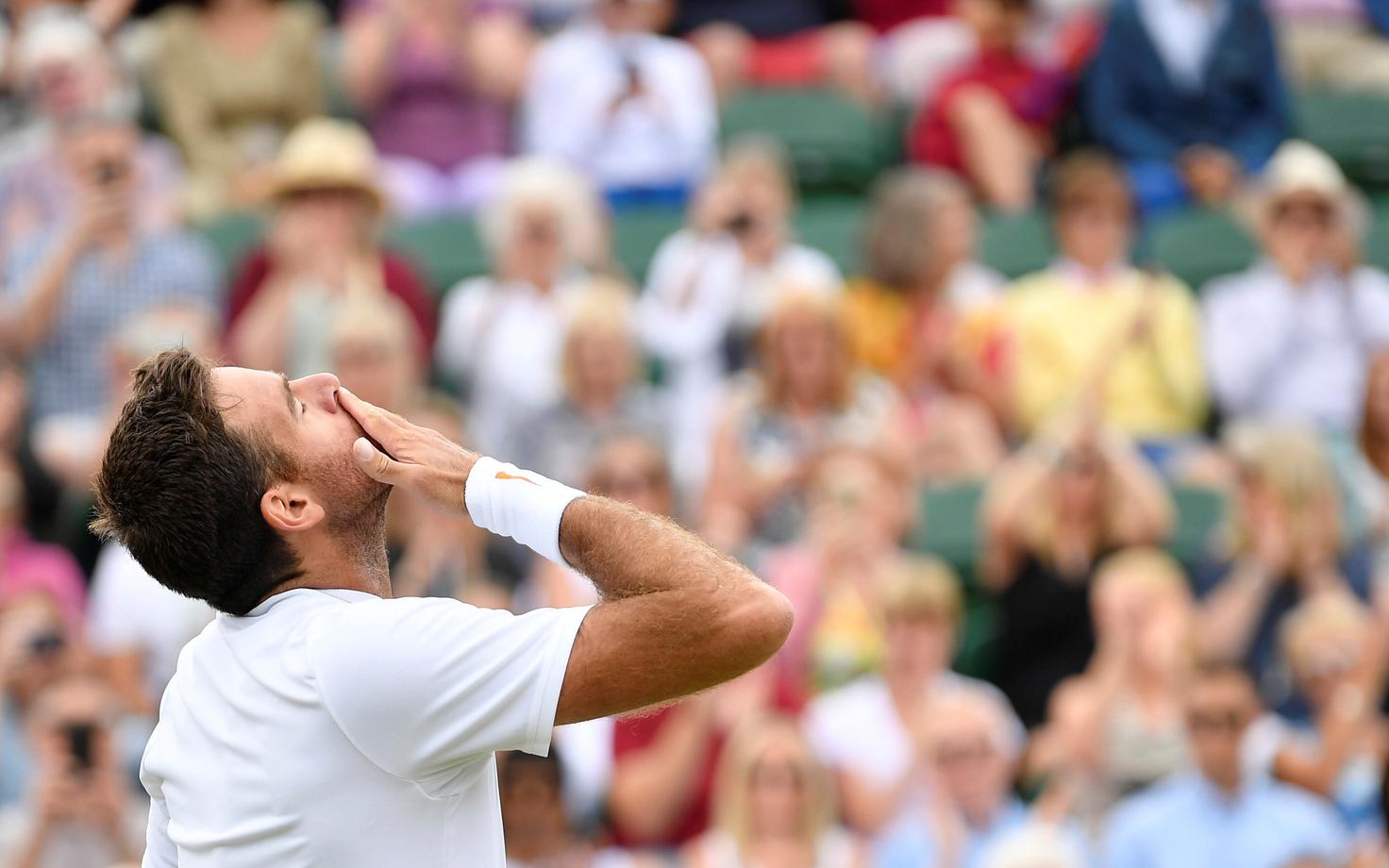Juan Martin del Potro