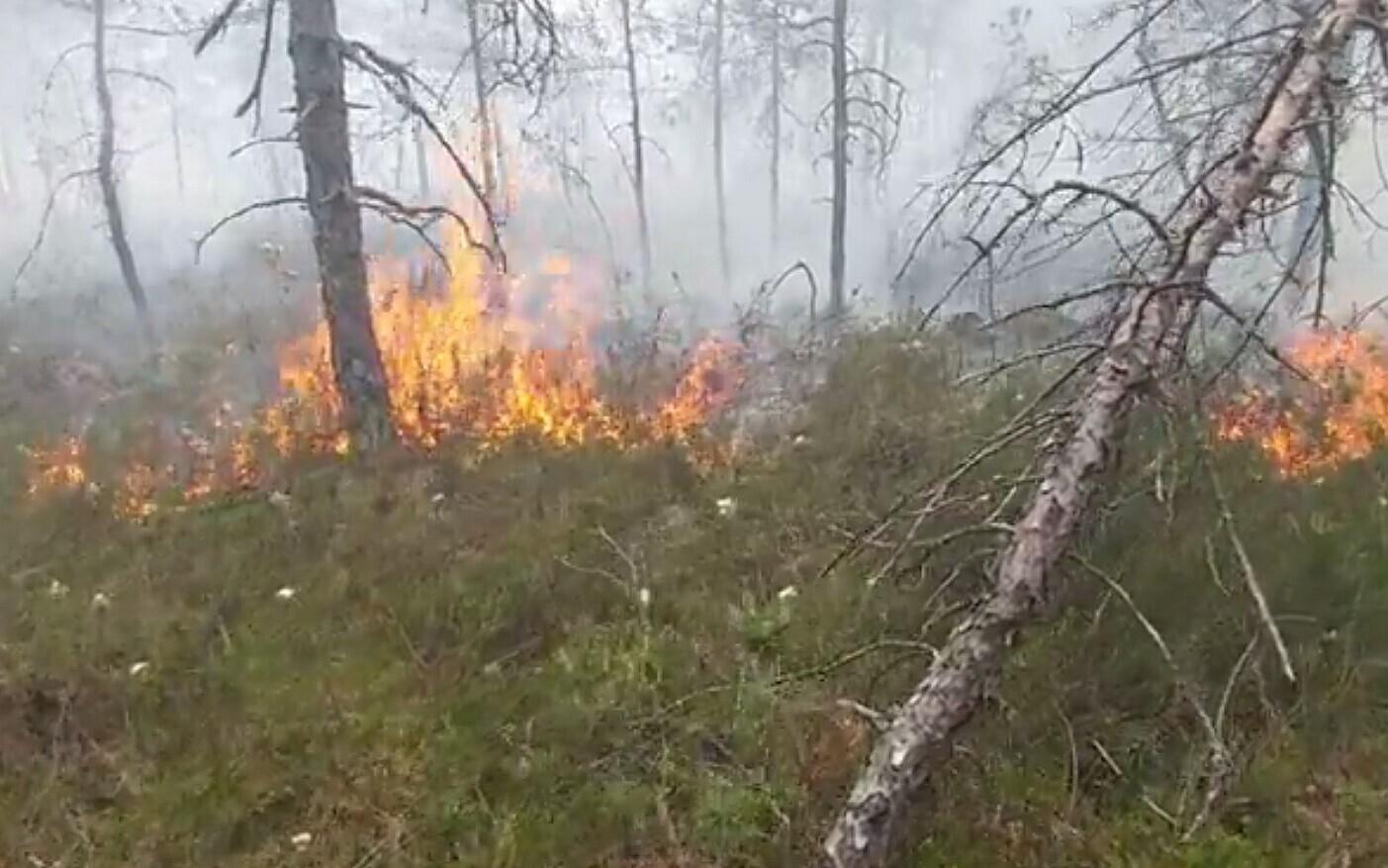 Maastikupõleng.