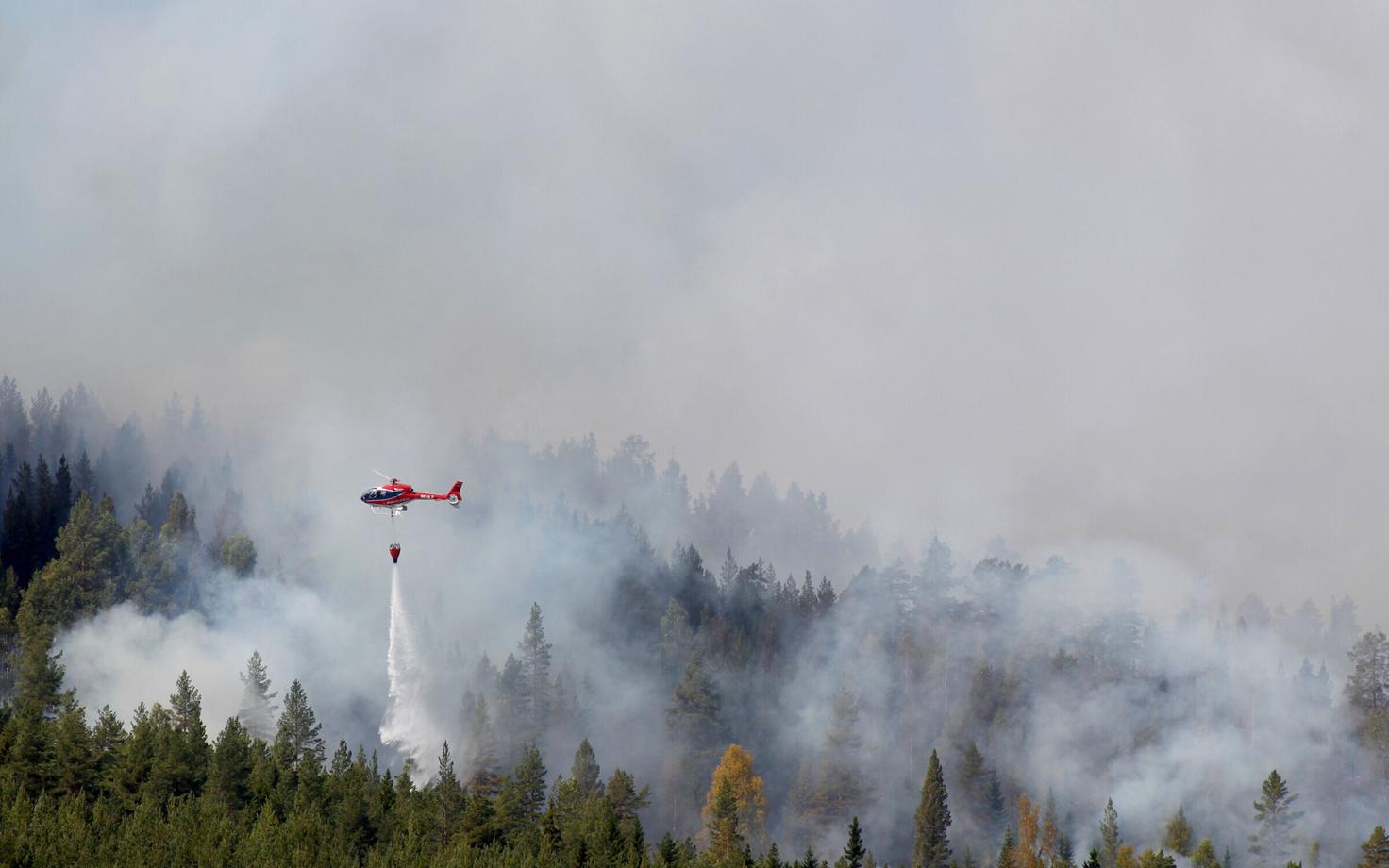Metsapõleng Hammarstrandi omavalitsuses 16. juulil.