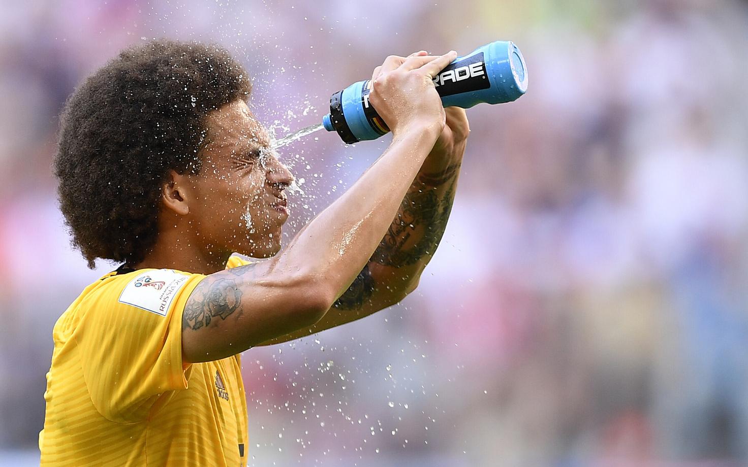 Alex Witsel
