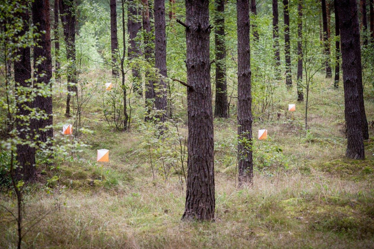 Täpsusorienteerumine