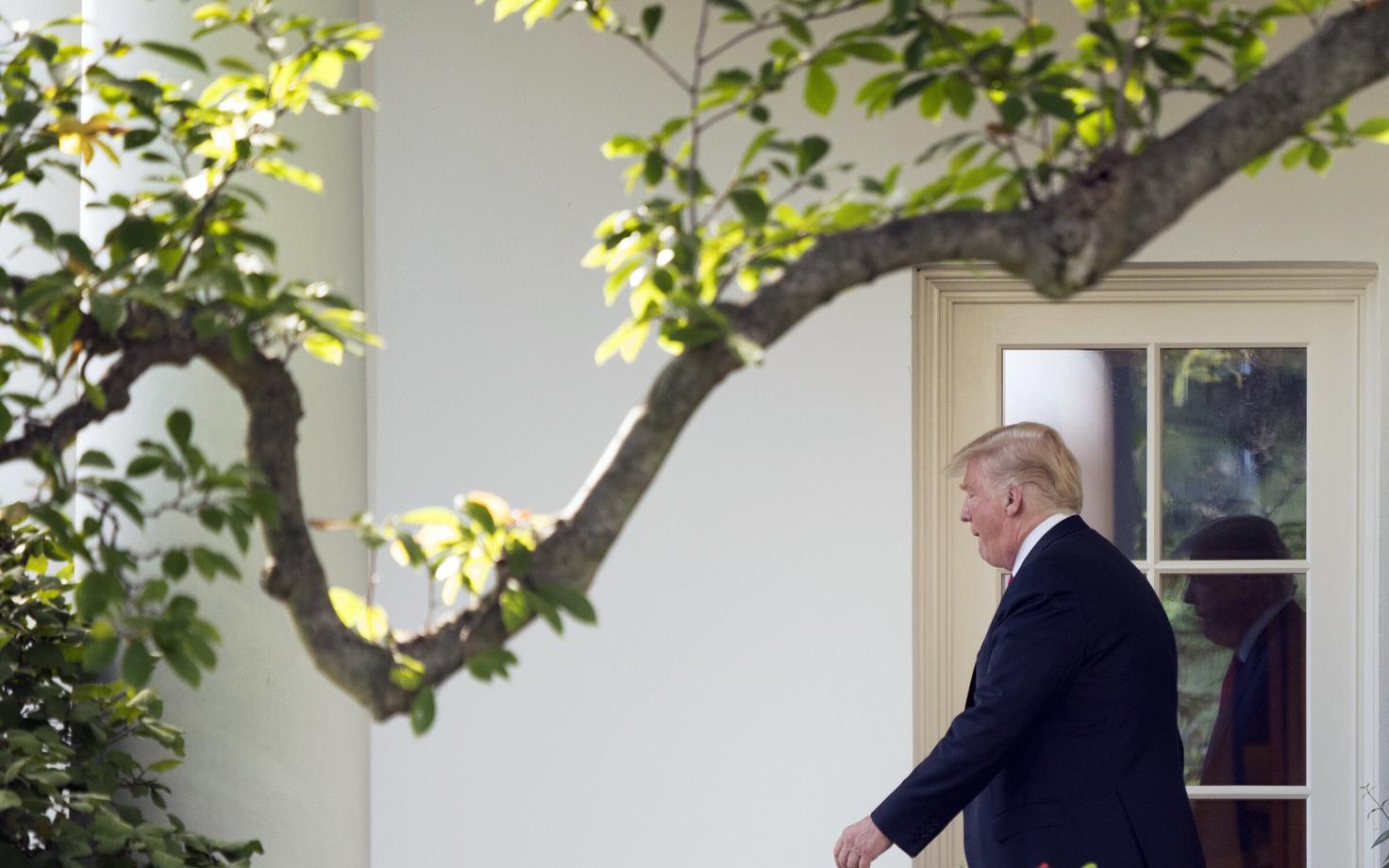 USA president Donald Trump.