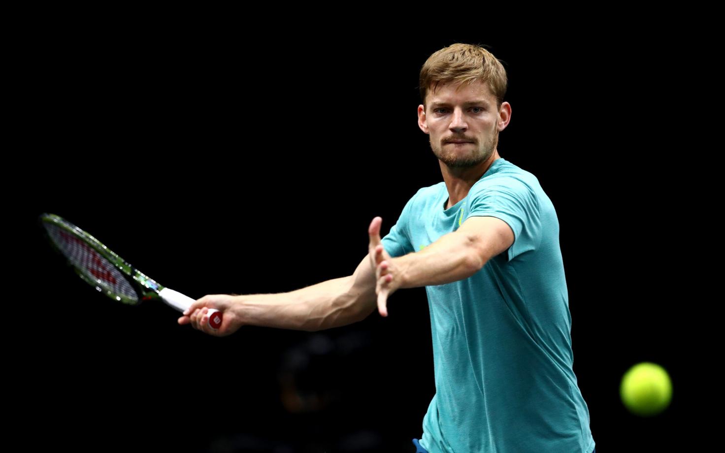 David Goffin