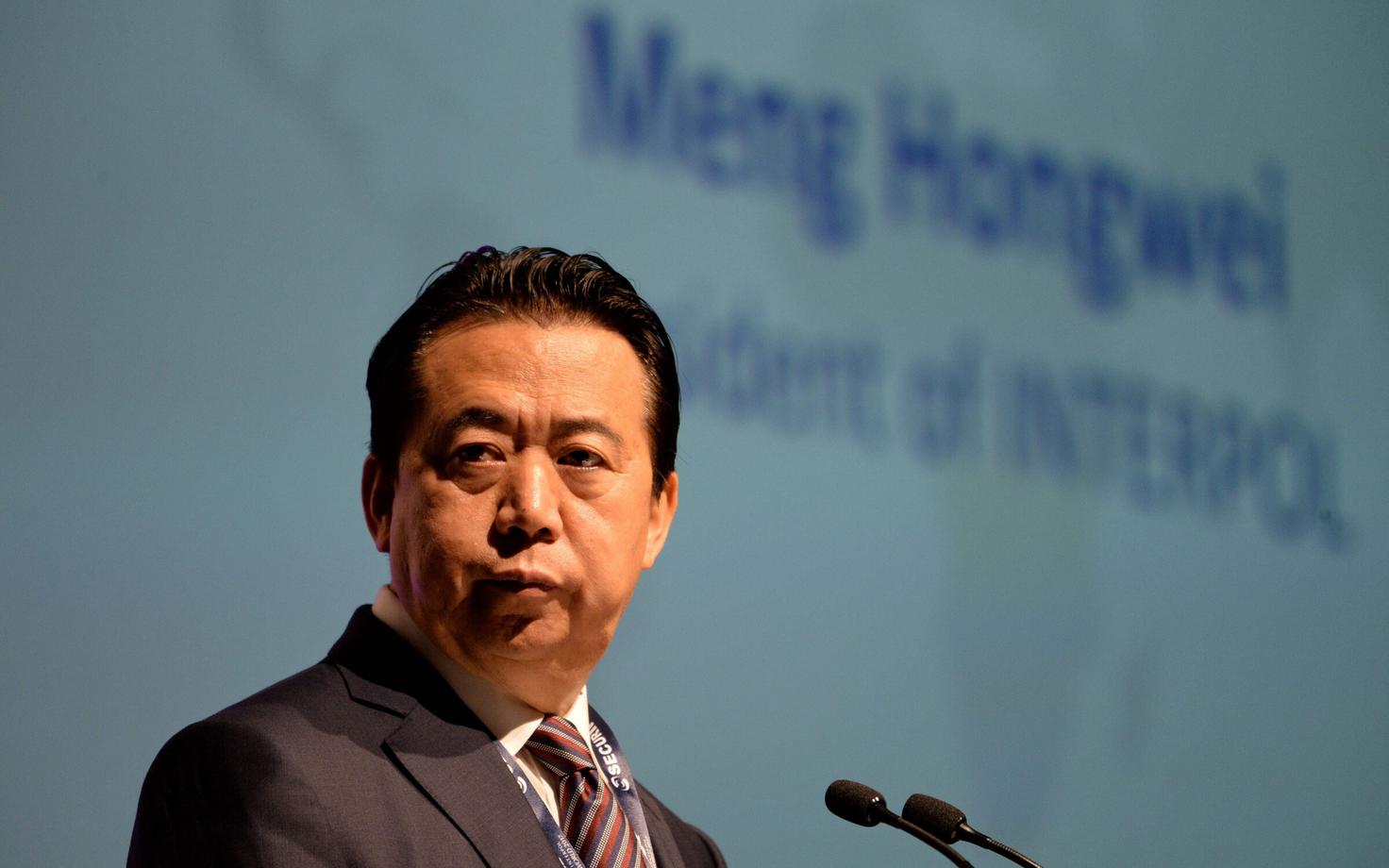 Meng Hongwei 2017. aasta juulis.