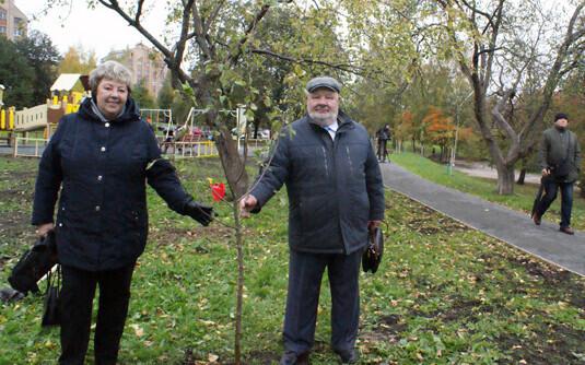Аллея Нарвы в Петрозаводске.