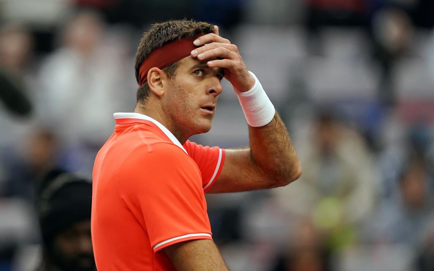 Juan Martin del Potro