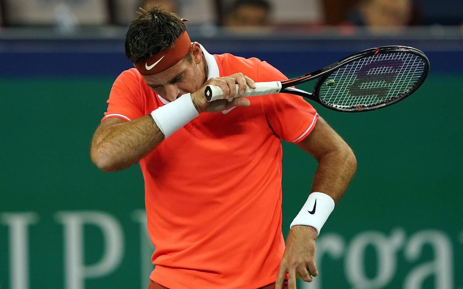 Juan Martin del Potro