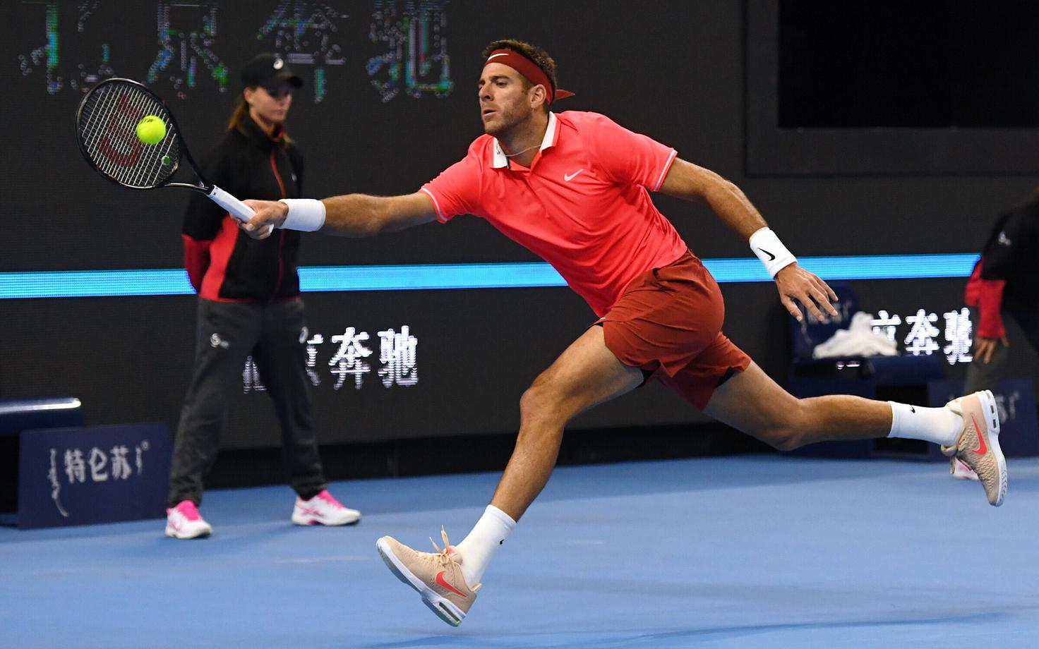 Juan Martin del Potro