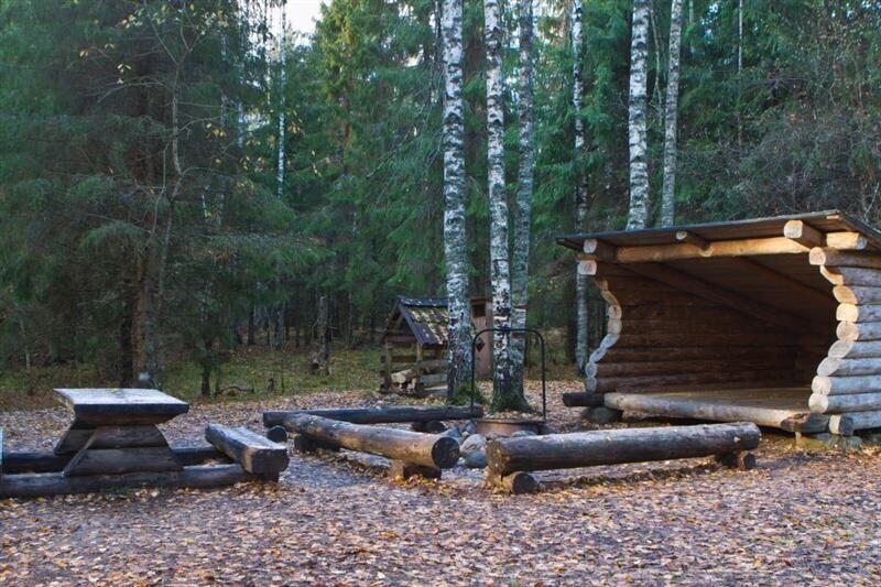 Kodumaa looduses meisterlikku disaini ei leia. Üldpildis valitsevad maitsetuse piiril väikevormid ja diletantlik rustikaalsus: ohtralt ümarpalki ja pettekujutlusi talupärasusest, millel pole eheda maa-arhitektuuri ja paikkondliku pärimusega midagi ühist.
