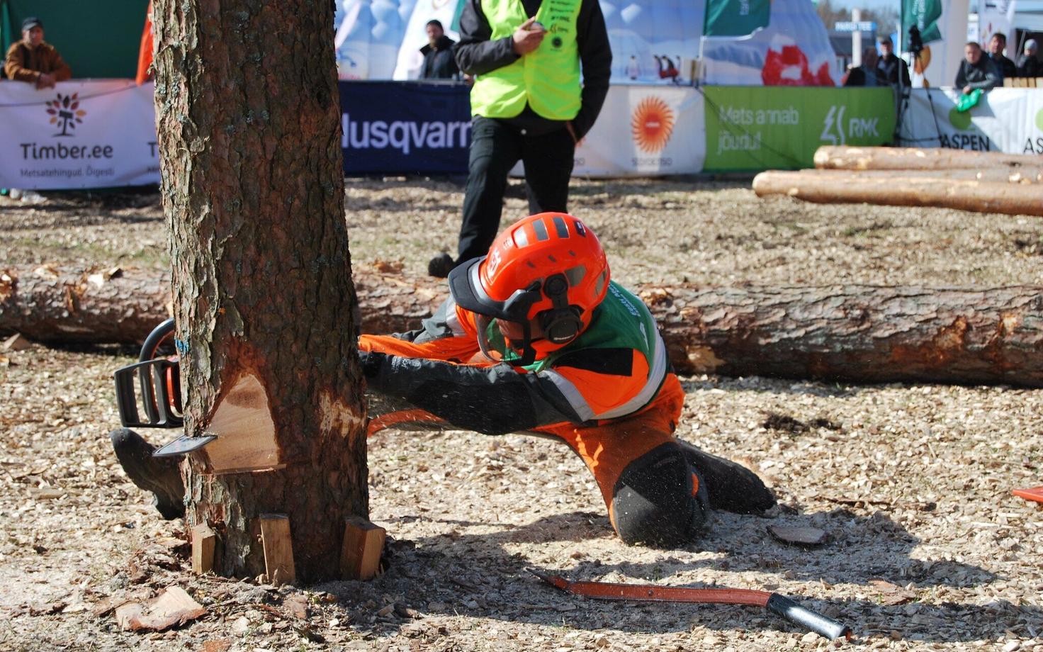 Kevadkarikas 2018