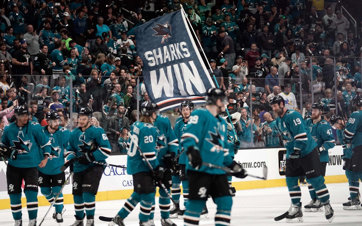 San Jose Shark