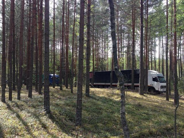 В Псковской области задержали 9 фур с польскими яблоками.