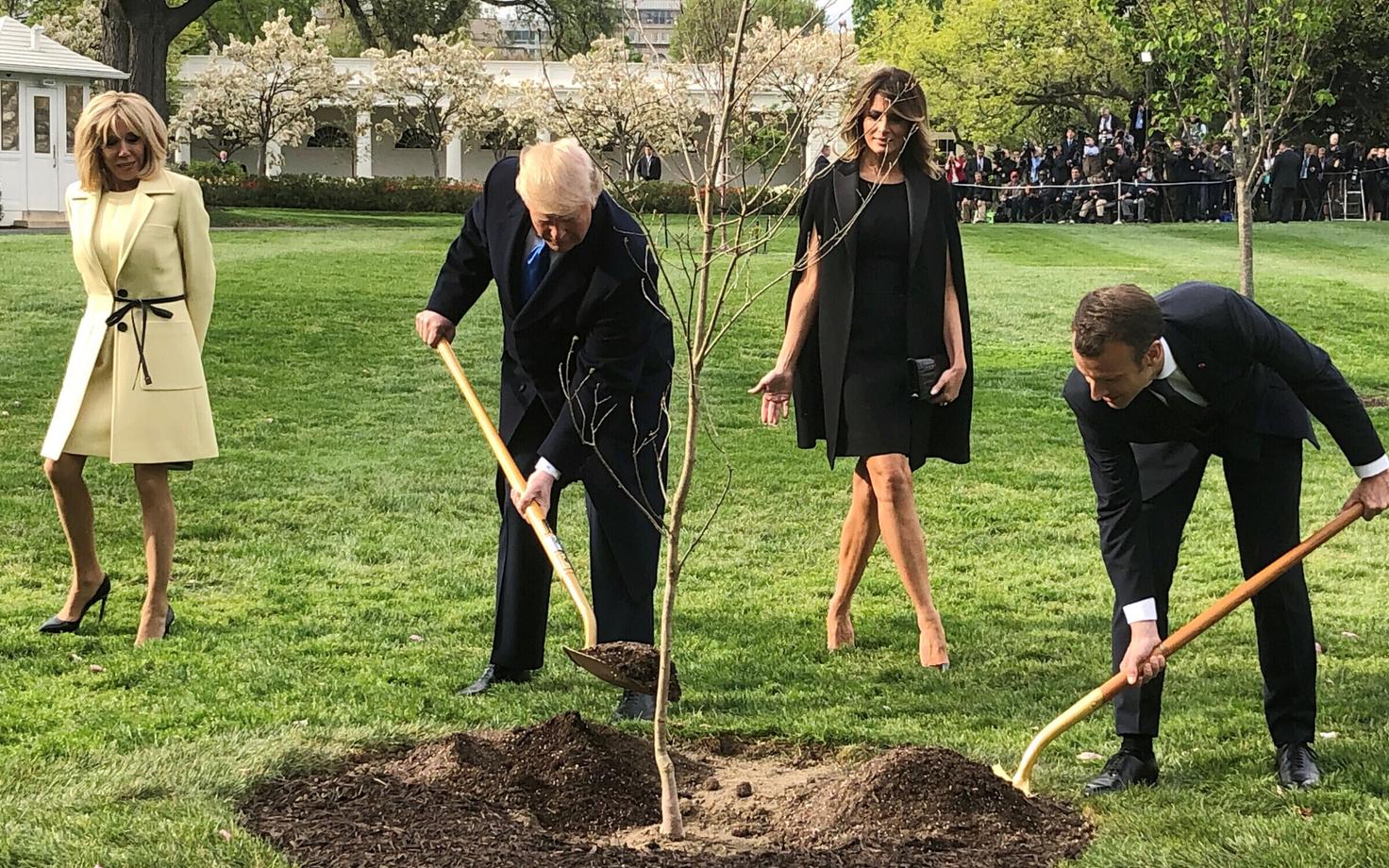 Trumpid ja Macronid Valge Maja aeda tammepuud istutamas 2018. aasta 23. aprillil.