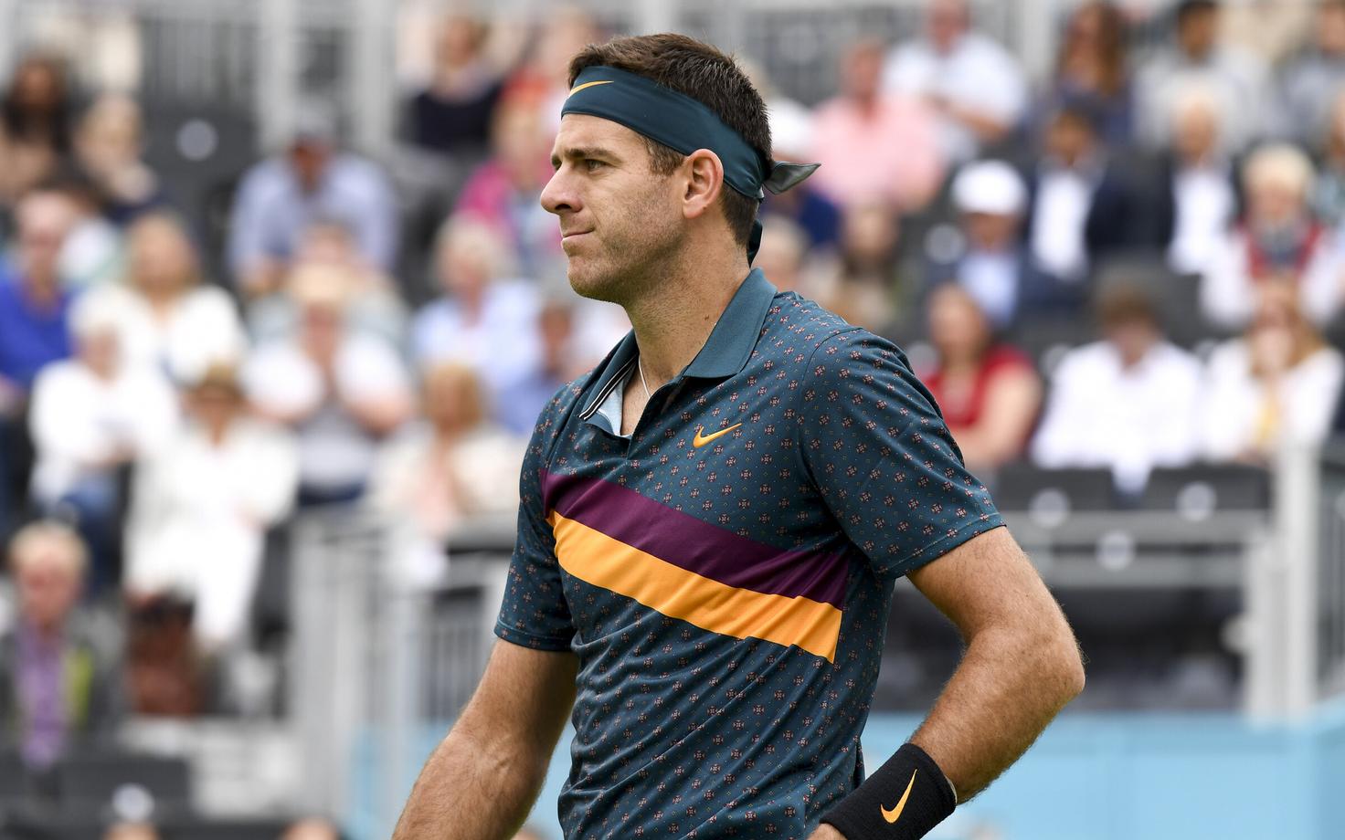 Juan Martin del Potro