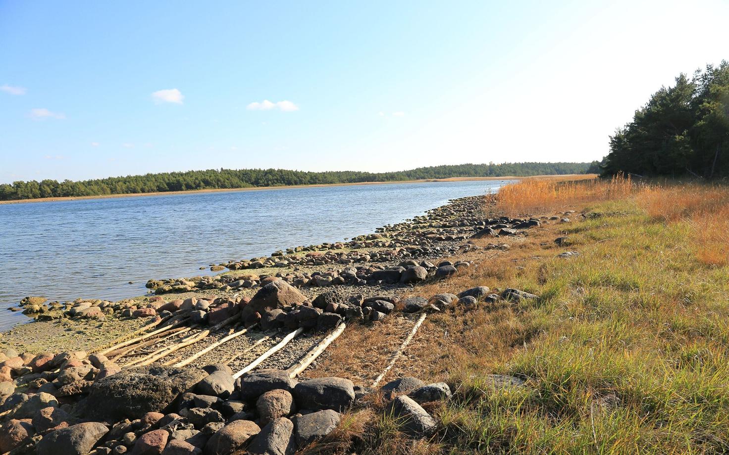 Kuusnõmme lauter