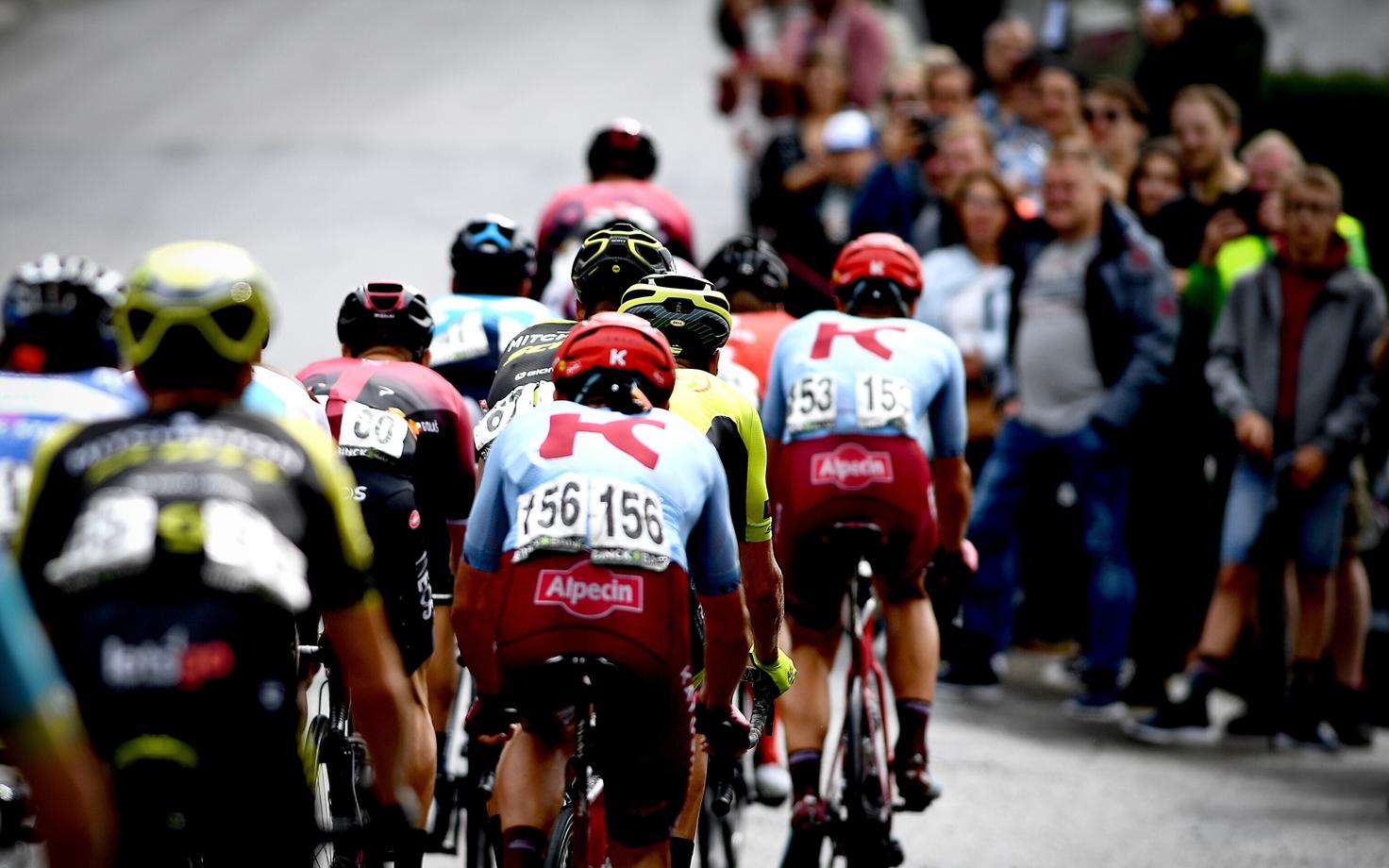 Ratturid BinckBank Touril