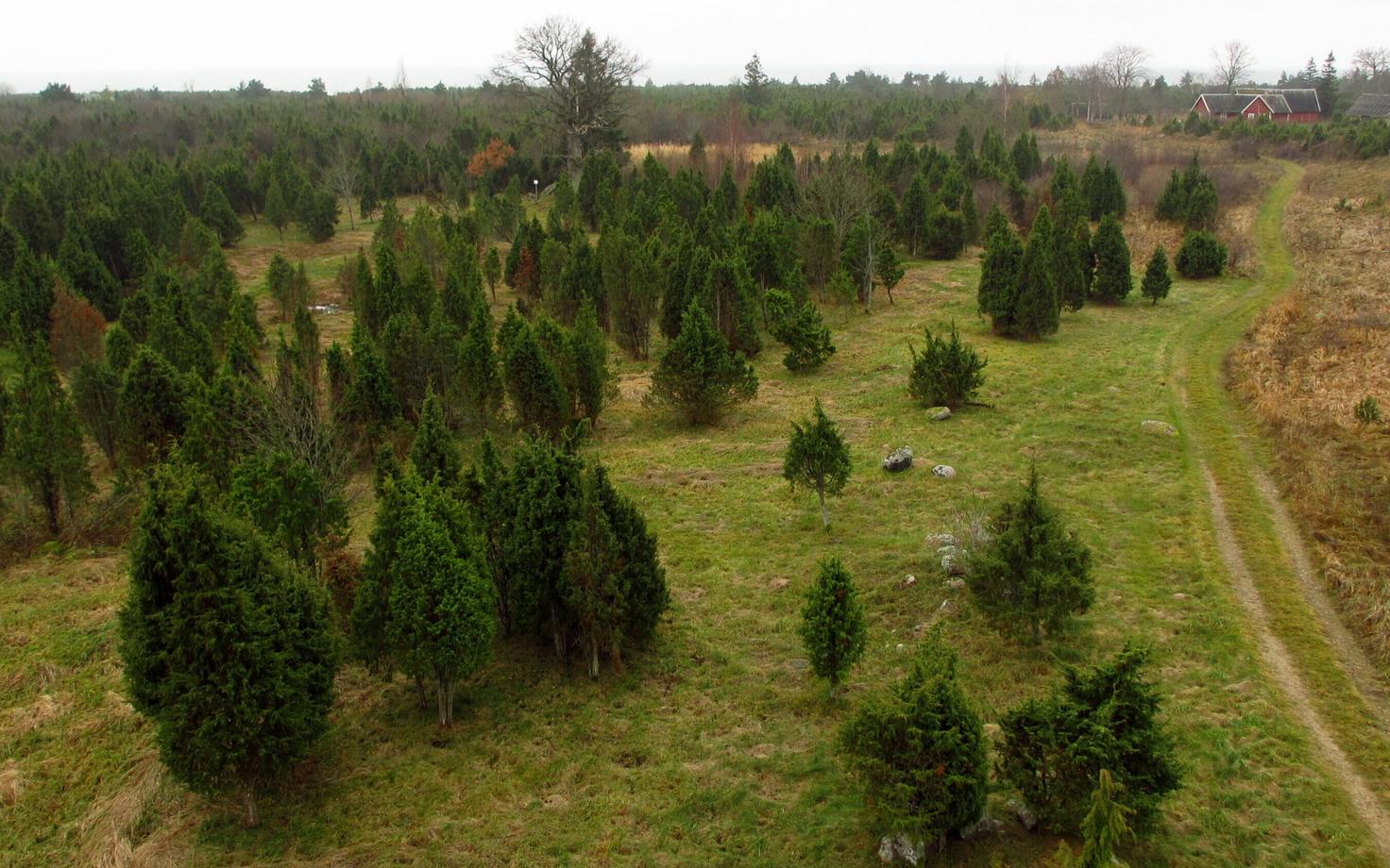 Kadakad