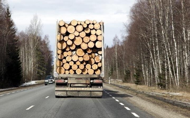 Иллюстративный снимок.