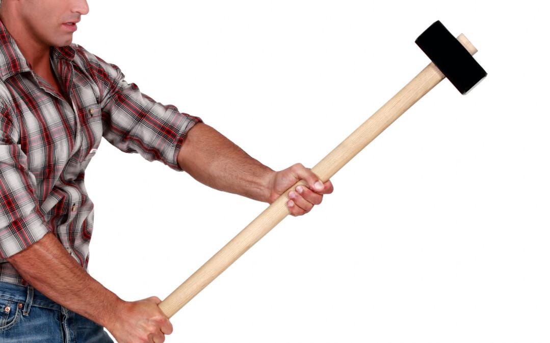 Sepahaamer