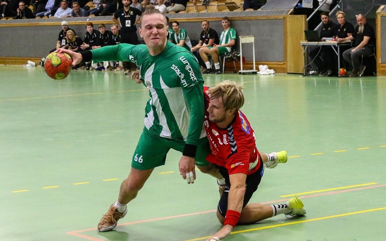 Hendrik Varul (palliga)