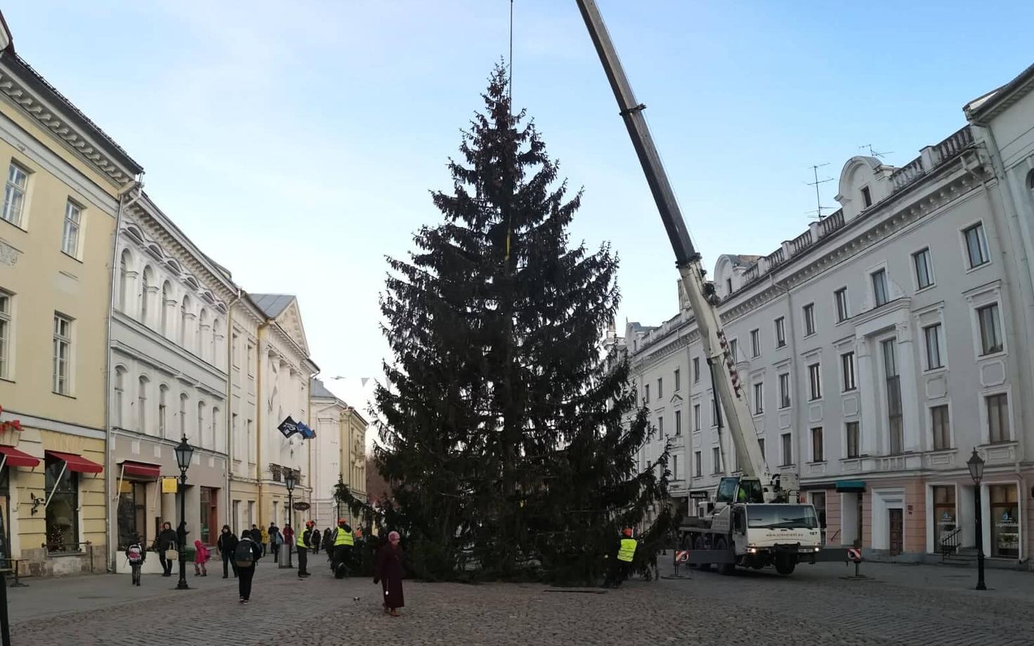 Tartu raekoja platsi jõulukuusk.